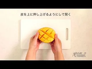 『自由研究…！』※Blogでブログ(23…