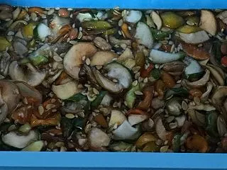 伊都菜彩で買った果物で秋の酵素手作り中！…