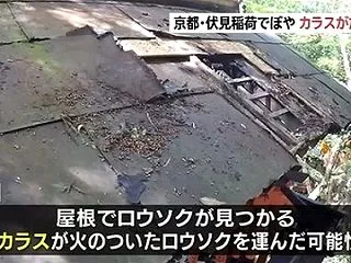 【鳥類学】カラスが放火か、京都・伏見稲荷…