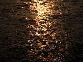 夜の海に漂う存在（モノ）
