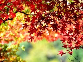 時は流れて