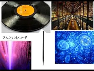 一般とは別の視点から見た脳の構造について…
