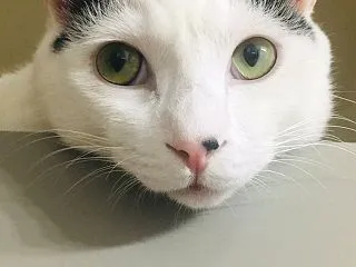 はるの、一歳になりました。