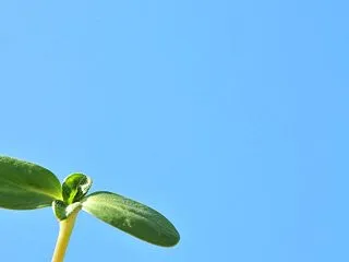 本当の自分に会いに来ませんか？