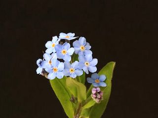 少しの間お休みします。