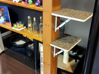 猫ちゃんのDIY