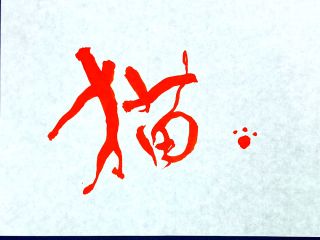 猫