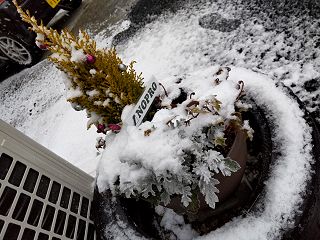 葉山タウンはじめ