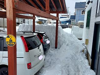 大雪です。節分にはまだ早い。