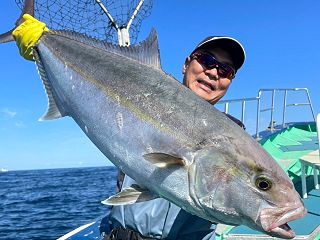 ゼニス‼️カンパチ、ヒラマサ泳がせ釣り