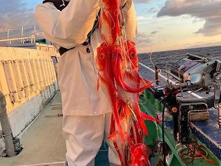 新島沖GOLDキンメ‼️明日も空きあり‼…