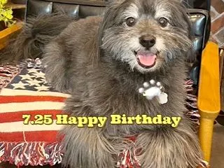 お誕生日おめでとう
