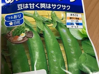 スナップエンドウ栽培記録開幕(2023/…