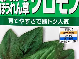 ほうれん草栽培記録開幕(2023/10/…