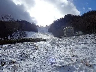 初雪