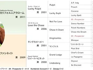 ファシネイトの2022 とラッキーナンバ…
