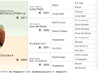 ファシネイトの2022 とラッキーナンバ…