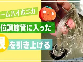 水位調節管に入った根の引き出し方 根が入…