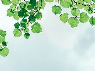 令和時代のキャリア戦略