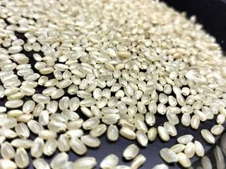 冬の籾摺りと、春に向けた機械の整備