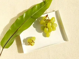 試訳『イチジクかブタニクか、クダモノかケ…