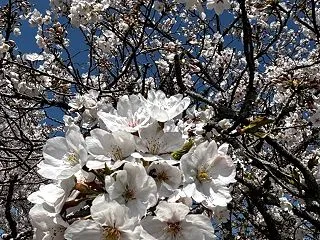 痛みが消えた❗️