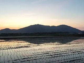 田代かき完了！水を張った田んぼに弥彦山が…