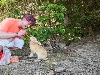 【しょうたび】広島県竹原市 忠海うさぎの…