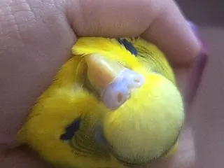 暑い日のご褒美、手の中の小さなぬくもり