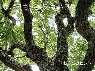 【体験談】感情が出ない・泣けない人へ｜笑…