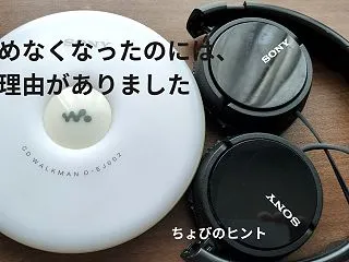 【体験談】テレビが見れない・音楽が聴けな…