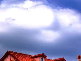 夏雲の下に咲く