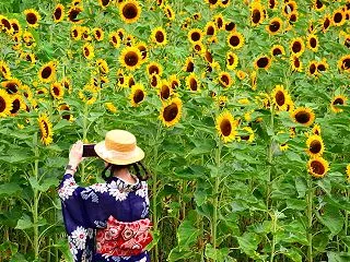 夏の思い出