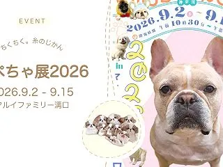 【鼻ぺちゃ展2026 in マルイファミ…