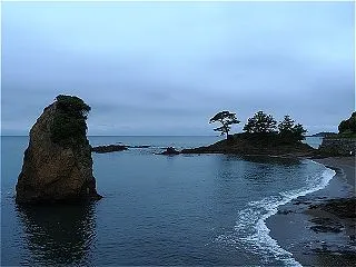 横須賀・浄楽寺の朝市とトコロテンの写真 …