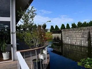 魚津埋没林博物館などなど
