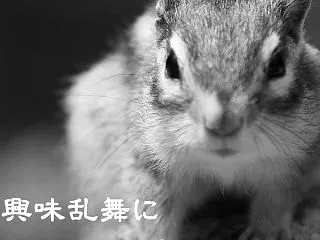 暗澹たる気分でみていた沖縄県知事選挙関連…