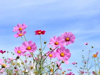 趣味の見つけ方。子どもの頃の『好き』を思…