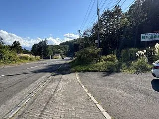 【温泉部:☆☆☆☆☆】【閉館】鯉川温泉旅…