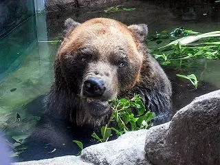 幸せってなんだろう～ポンの訃報（2026…
