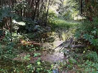 開拓Act.46｜千葉豪雨の被害確認