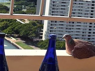 本当に必要なものを選び直す期間