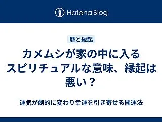 カメムシが家の中に入るスピリチュアルな意…
