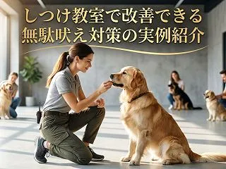 しつけ教室で改善できる無駄吠え対策の実例…