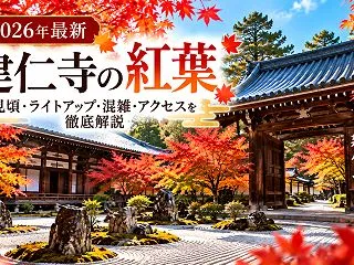 【2026年最新】建仁寺の紅葉はいつが見…
