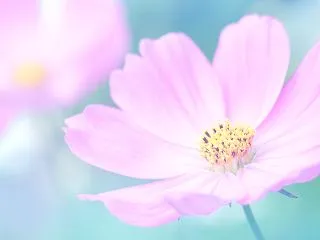 自分を責めるのをやめたい｜自分責めに気づ…