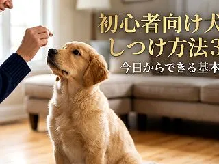 初心者向け犬のしつけ方法3選｜今日からで…