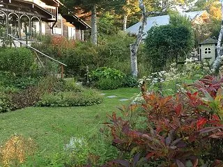 初霜注意報