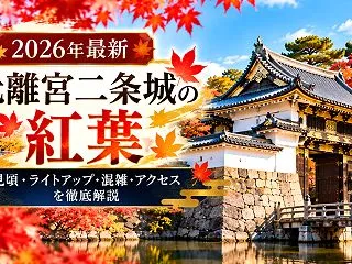 【2026年最新】元離宮二条城の紅葉はい…