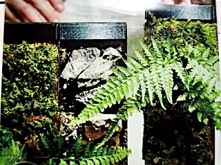 簡単に滝を作れるキット